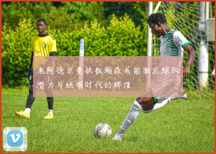 老阿德尔曼执教瀚森或能激发球队潜力与姚明时代的辉煌